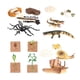 thumbnail image 2 of Juguetes de aprendizaje del ciclo de vida, accesorios didácticos, animales, plantas, figuras, juguetes Montessori Estilo B, 2 of 9
