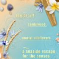 thumbnail image 2 of Febreeze Fall Winter Limited Edition Plug in Holiday Season Scented Refills, 3 pack (Summer Nights), 2 of 7