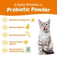 thumbnail image 2 of Zesty Paws Probiotic Powder Pumpkin Flavor Cat Supplement, 30 Count, 2 of 9