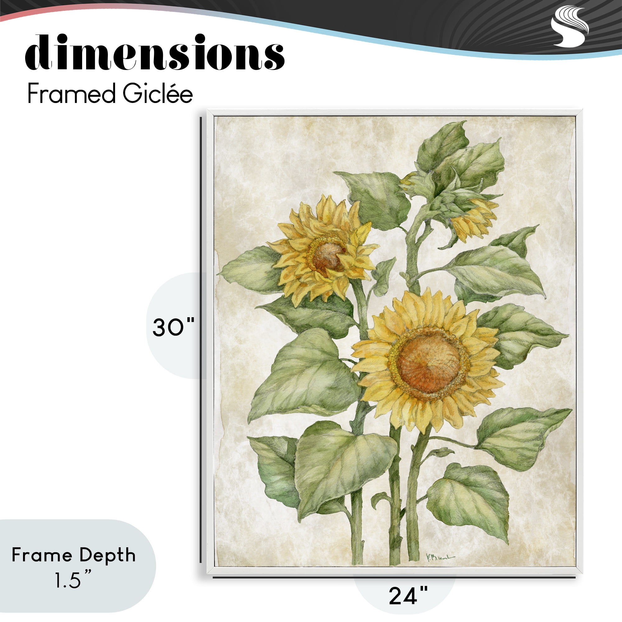 Stupell Industries Floral Journal Sunflower White Framed Giclee Art, design by Paul Brent