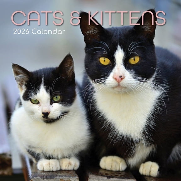 Gifted Stationery Co, Cats and Kittens 2026 Wall Calendar, 12'' X 12'', 16-Month Calendar with Stapled Binding