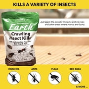 64 Oz. Diatomaceous Earth Crawling Insect Killer (2-Pack)