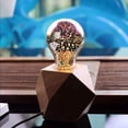 thumbnail image 3 of 3D Firework Bulb Starry Light Bulb, E26 3W Retro Edison Bulb, Warm White Light for Holiday Christmas Decoration Bar Glass LED Lamp, 3 of 7