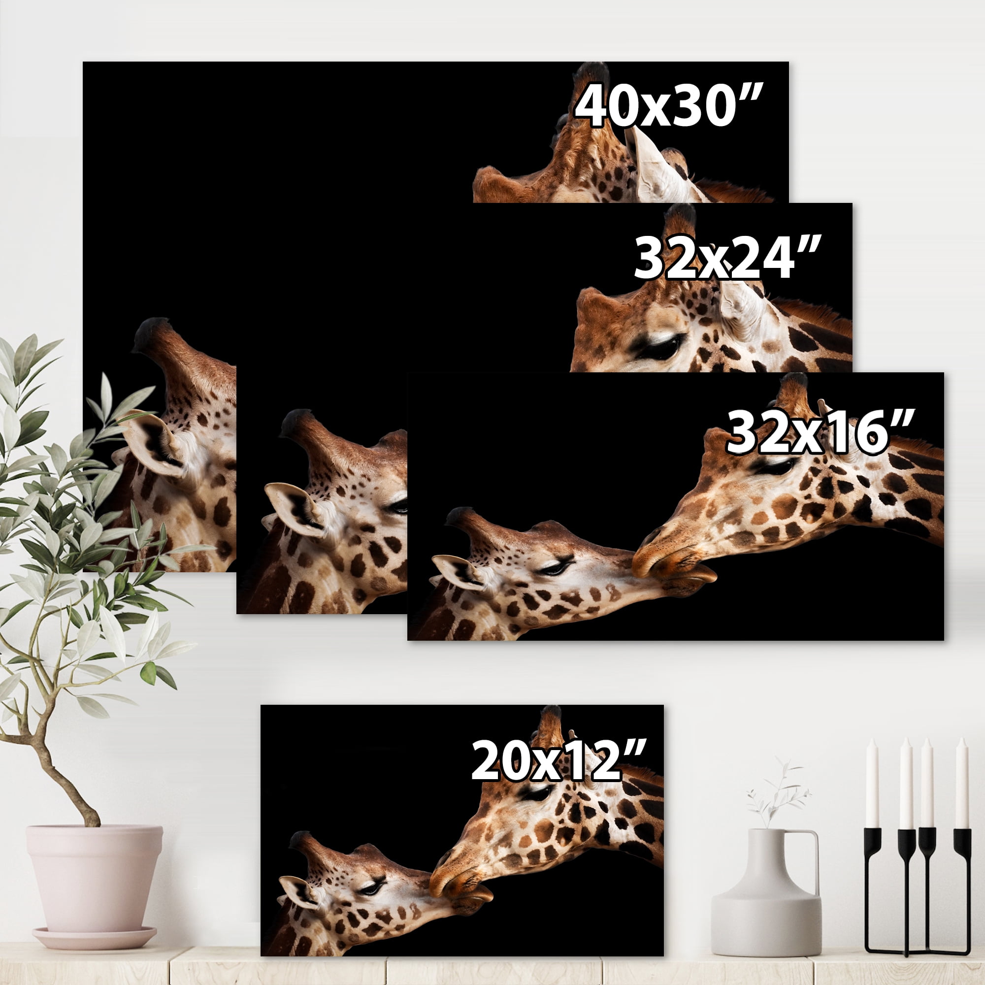 Designart ' Close UP Of Two Giraffes Kissing II ' Farmhouse Canvas Wall Art Print