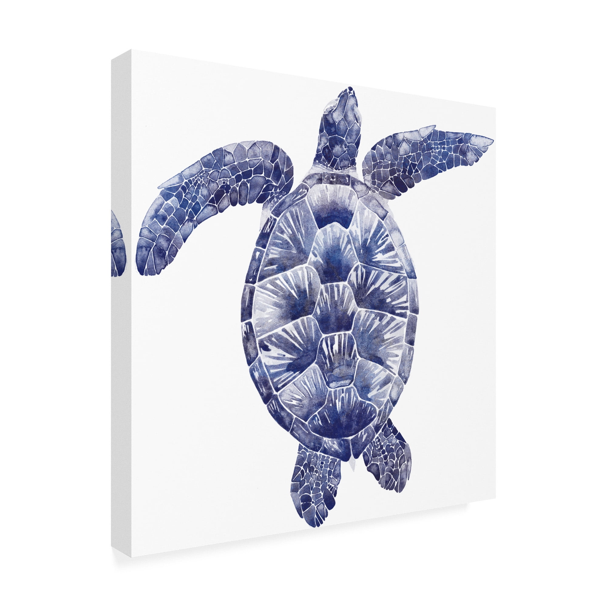 Trademark Fine Art 'Marine Turtle II' Canvas Art by Grace Popp