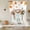Terracotta, Cream, variant on Fall Gnomes Tie Up Curtains for Windows, Adjustable Balloon Window Shades, Thanksgiving Maple Branch Berries Florals Farm Kitchen Window Treatments Farmhouse Short Curtains with Rod Pocket 42"x45"