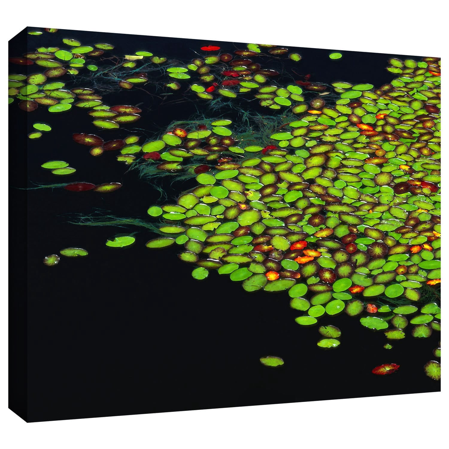 Dean Uhlinger "Tenmile Lake" Gallery-Wrapped Canvas