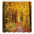 thumbnail image 3 of Ambesonne Forest Shower Curtain, Foliage Leaves Autumn, 69"Wx84"L, Yellow and Brown, 3 of 3