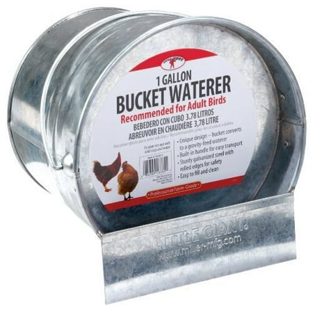 - Little Giant Farm & Ag 167611 1 Gallon Galvanized Bucket Poultry Waterer