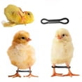 thumbnail image 2 of 100PCS Baby Chicken Splay Leg Hobble Brace Adjustable Poultry Leg Bands for Newborn Spraddle Leg Chick Bird Quails Ducks, 2 of 6