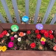 thumbnail image 5 of Bee Watering Station Butterfly Puddler & Hummingbird Water Feeder, Pollinator Water Station Bee Bath for Outdoor Garden Hive Decor, 5 of 6