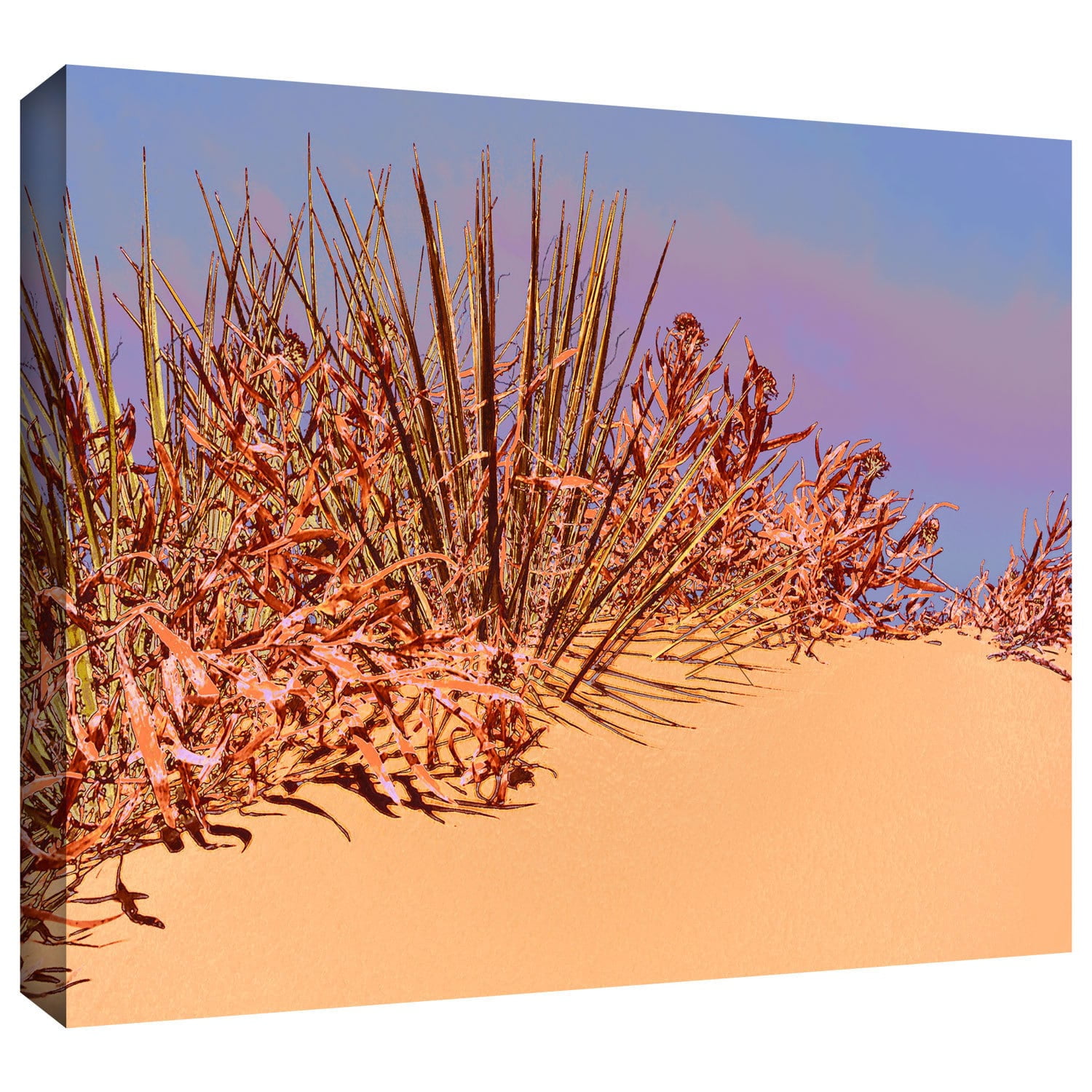Dean Uhlinger 'Coral Dunes Noon' Gallery-wrapped Canvas