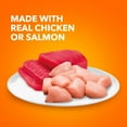 thumbnail image 3 of Iams Perfect Portions Healthy Adult Pate Wet Cat Food, Variety Recipe, 2.6 Oz Twin-Pack Trays24 Ct, 3 of 8