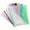A, variant on A4 Loose Leaf File Pouch, 11 Hole Transparent File Pouch, Multicolor Plastic Document Storage Bag with Snap Button, Durable Lightweight Office Binder Folder Organizer