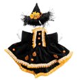 thumbnail image 2 of Lzobxe Fall Garden Goose Clothes Dress for 23" Plastic Cement Goose Statue, Goose Costume and Hat for Garden Patio Yard Lawn Halloween Decor, 2 of 9