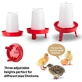 thumbnail image 5 of Top Filling Chick Feeder and Waterer Kit , Chick Feeder and Waterer with 3 Heights Adjustable Legs for Chicks, 5 of 5