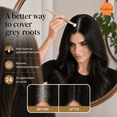 thumbnail image 4 of Root Touch-Up Permanent Hair Color - 24 Applications, 1 Kit - 100%  Gray Coverage - 1N Black, 4 of 10