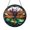 Acrylic 3.5 Inch, variant on Lotus Dragonfly Stained Glass Hanging Serene Pond Scene Window Decor Peaceful Nature Accent