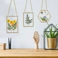 thumbnail image 7 of 3 Packs Pressed Flowers Glass Frames- Golden Hanging Picture Frames with Chain Floating DIY Artwork Display, 7 of 7