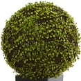 thumbnail image 2 of Mohlenbechia Ball Artificial Plant in Black Tower Vase, 2 of 10