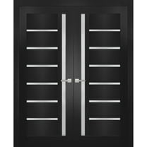 Solid French Double Doors | Quadro 4088 Matte Black with Frosted Glass | Wood Solid Panel Frame Trims | Closet Bedroom Sturdy Doors