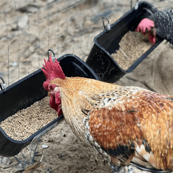Green 2Pack Duck Feeder Fence Hanging Feed Trough Goose Turkey Trough with Clips