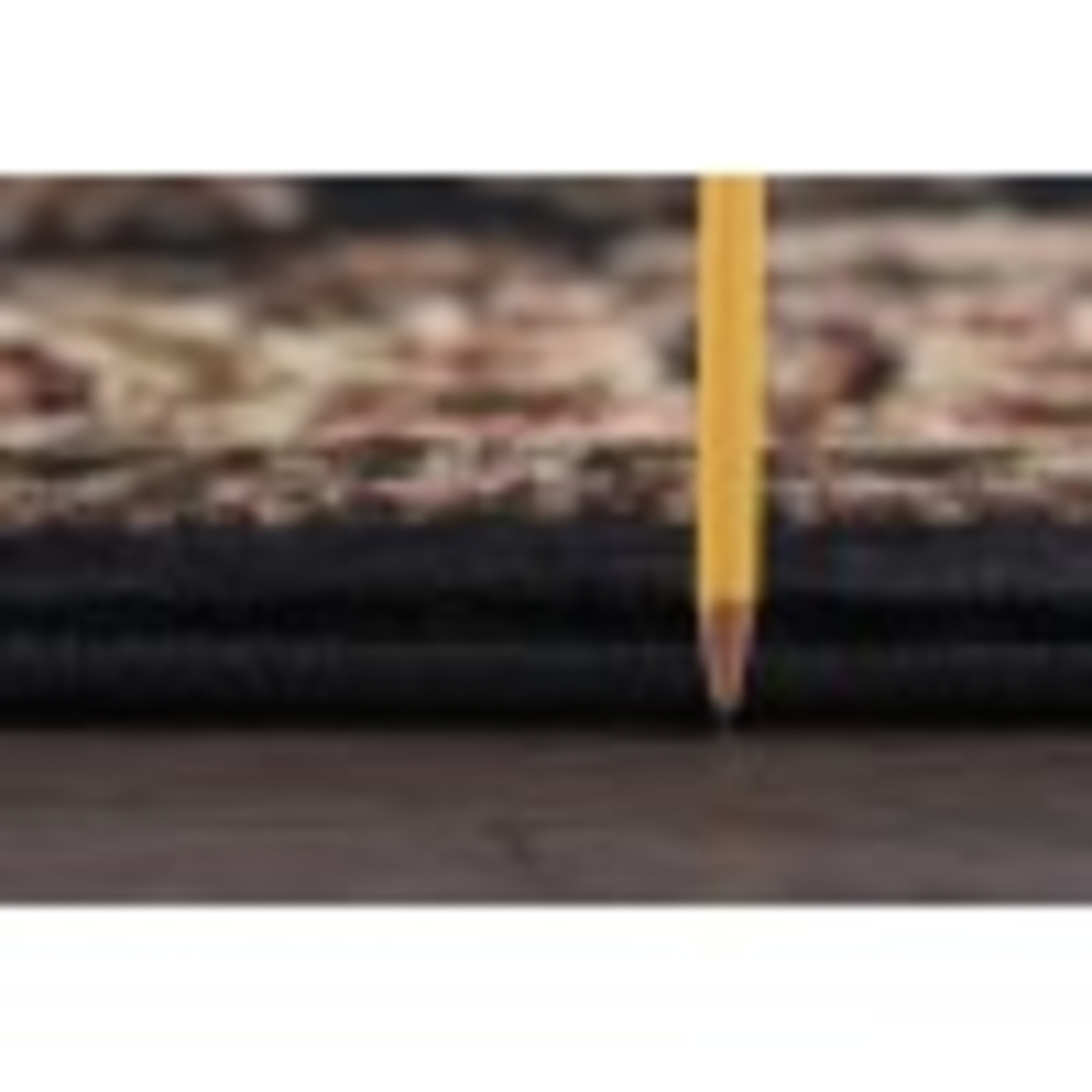Sensation Transitional 5' Round Black and Beige Polypropylene Indoor Area Rug