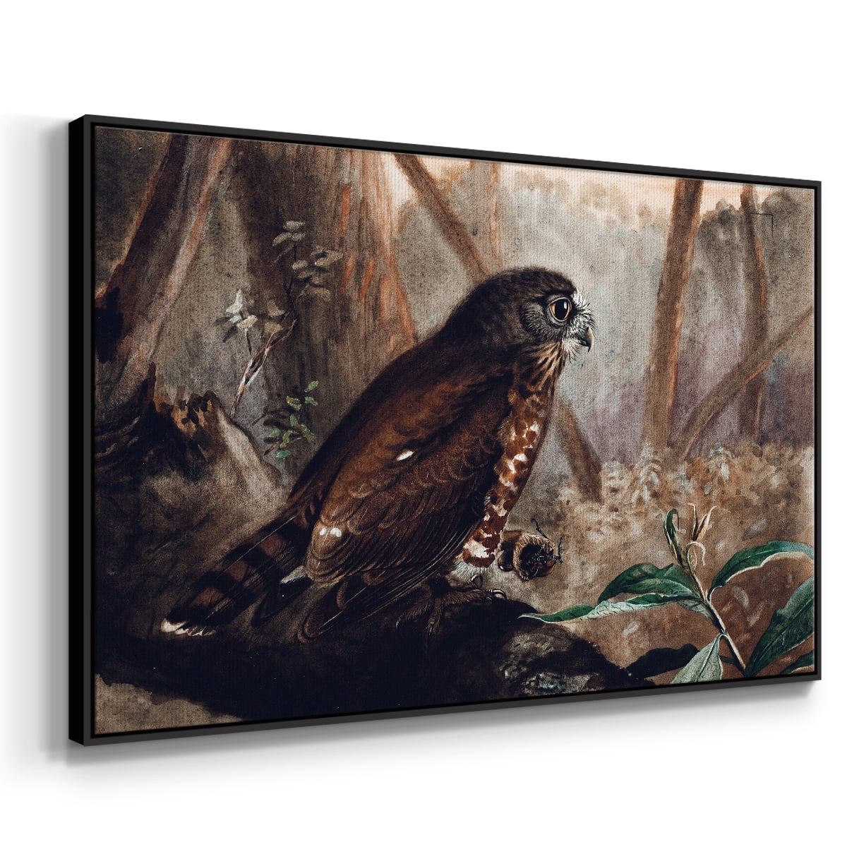 Vintage Animal Print-XVII By Wexford Home Framed in Black Wood Gallery Wrapped Canvas 27 in. x 41 in.