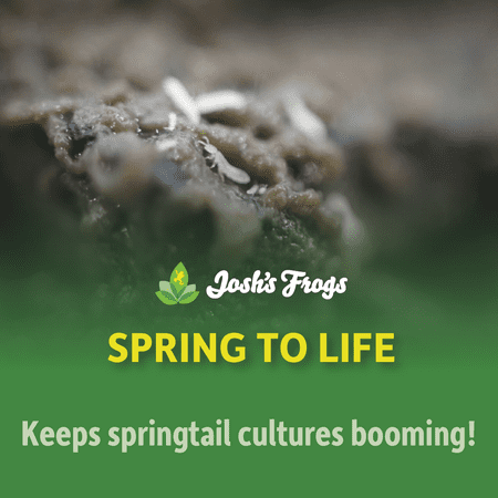Josh's Frogs Spring to Life Springtail Food (4 oz)
