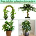 thumbnail image 4 of LANNEY Moss Pole for Plants Monstera, 50 Inch Bendable Moss Pole for Climbing Plants, 2 Pack 25 Inch Coir Totem Pole for Monstera Plant Support Indoor, 4 of 7