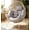 White Rattan Beige Cushion, variant on Walsunny Egg Chairs Outdoor Patio Wicker Oversized Egg Shell Lounger Lawn Chair with Cushion for Indoor Outside Porch Balcony Backyard,Original Wood Color Rattan Beige Cushion