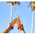 thumbnail image 6 of TOST All-Natural Alcohol Free Sparkling Beverage, 25.4 Fl Oz (Pack of 3), 6 of 6