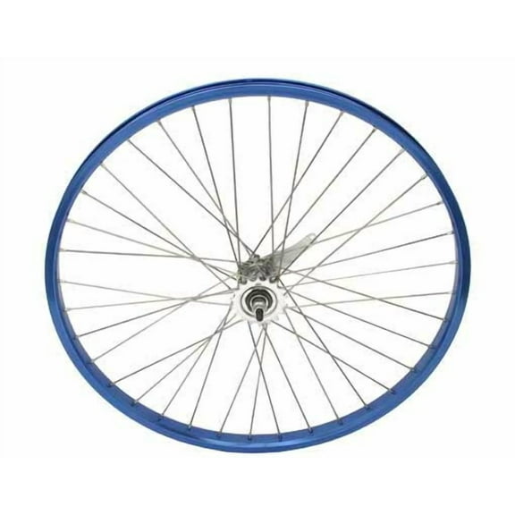 26" x 2.125" Alloy Coaster Wheel 12G Blue. Bicycle wheel, bike wheel, Lowrider bike wheel, lowrider bicycle wheel, chopper,