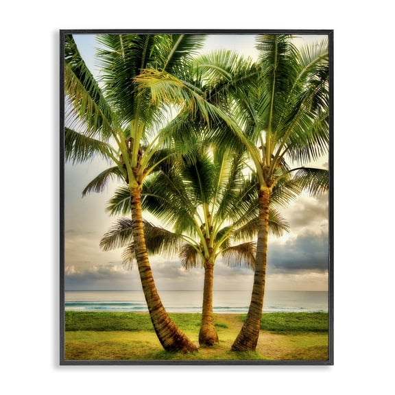 Stupell Industries Coastal Three Palm Trees on Beach Black Framed Giclee Art, 24 x 30, by Dennis Frates