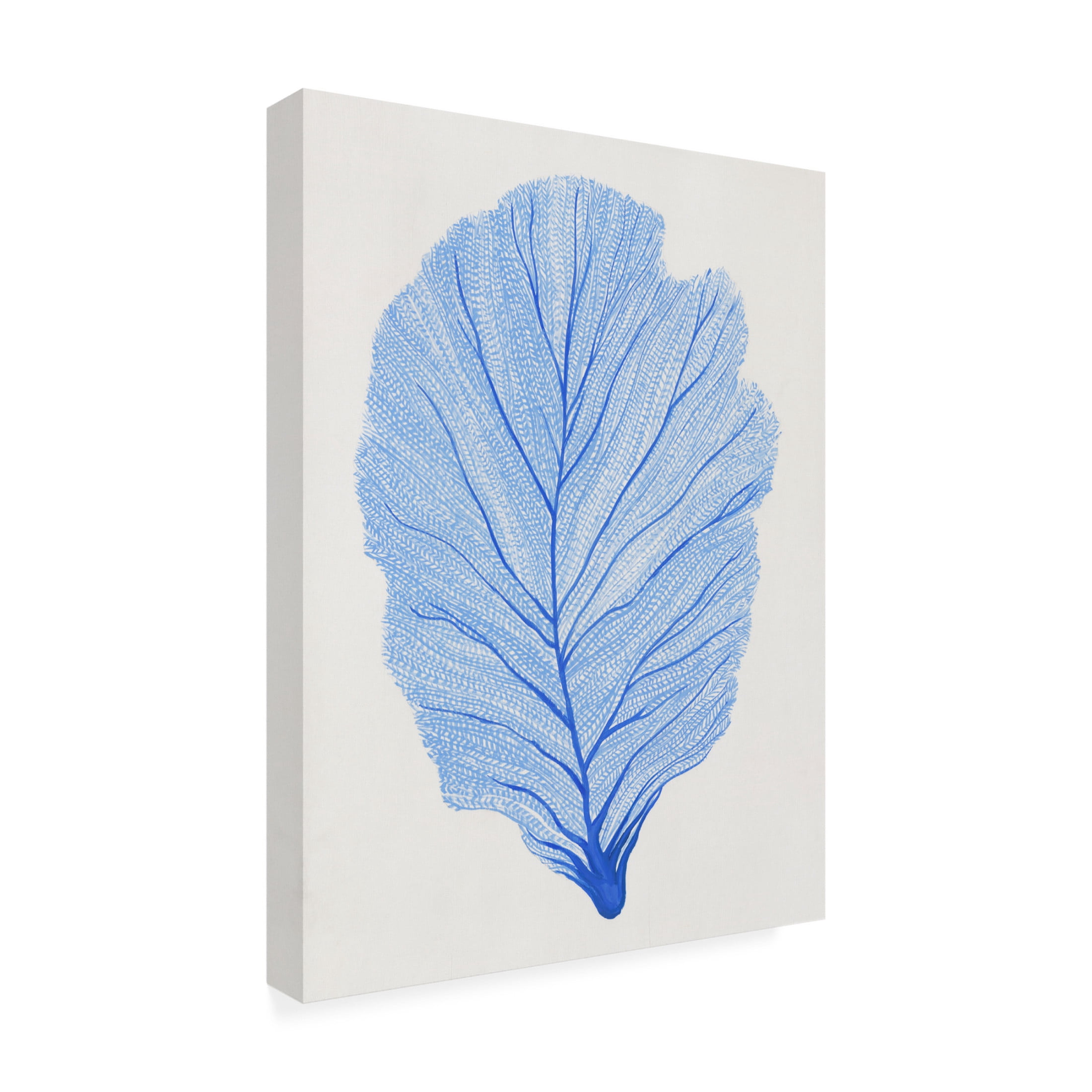 Canvas Wall Art - Tim OToole 'Indigo Sea Fan II' Wall Art for Living Room, Bedroom, or Office Décor by Trademark Fine Art - 18 x 24 Inches