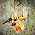 thumbnail image 2 of Artrylin Portable Feeding Bracket,Bird Feeders,Outdoor Garden Oriole Bird Feeder, Fruit Hummingbird Grape Jelly, 2 of 6