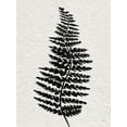 thumbnail image 2 of Jill, Susan 25x32 White Modern Wood Framed Museum Art Print Titled - Forest Fern III, 2 of 4
