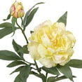 thumbnail image 3 of Mainstays Artificial Peony Long Stem, 3 of 5