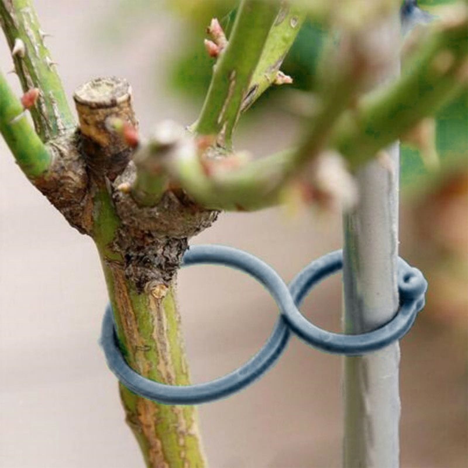 ERTZAE Reusable Garden Tie Clip - Flexible Vine Binding Strap For Tomato Cage Greenhouse,Vine Organizer Clip,Figure 8 Plant Tie Clip 1.57in - Butterfly Buckle Gourd Ring for Vine Garden Support