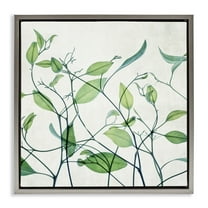 Stupell Industries Modern Vine Pattern Botanical & Floral Painting Gray Floater Framed Art Print Wall Art, 25 x 25