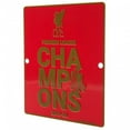thumbnail image 2 of Liverpool FC Premier League Champions Window Sign, 2 of 3