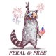 thumbnail image 2 of Feral And 4th Of July T Shirt, Funny Usa Shirt, Funny Raccoon Shirt,Merica 4th Of July T Shirt, 4th Of July Outfits For Women, 2 of 7