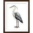 thumbnail image 2 of Art.com Sea Bird I Art Print by Grace Popp, Brown Frame Wall Art, 32" x 40", 2 of 5