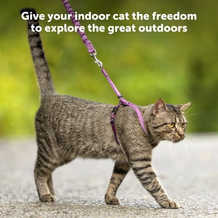 PetSafe Come With Me Kitty™ Harness and Bungee Leash, Large, Royal - Image 2