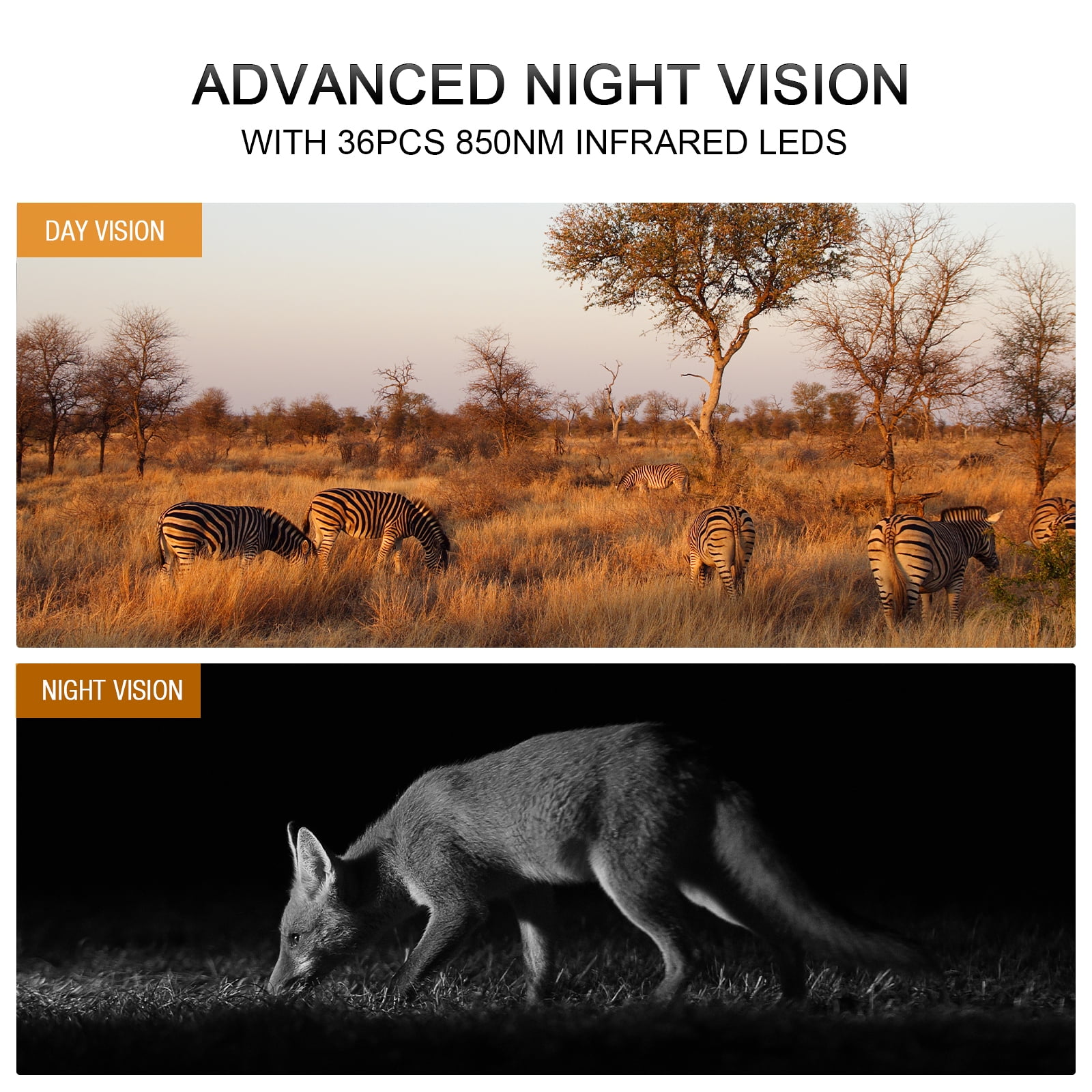 CAMPARK Solar Powered Trail Camera Native 4K 30fps 46MP WiFi Game Deer Camera 4400mAh Bluetooth Hunting Camera with Infrared Night Vision Motion Activated Waterproof Trail Cam for Wildlife Monitoring