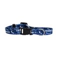 thumbnail image 1 of NHL Vancouver Canucks Team Pet Collar, Medium, 1 of 1