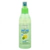 Garnier Fructis Daily Care Silky Secret Leave-In, 8.5 oz