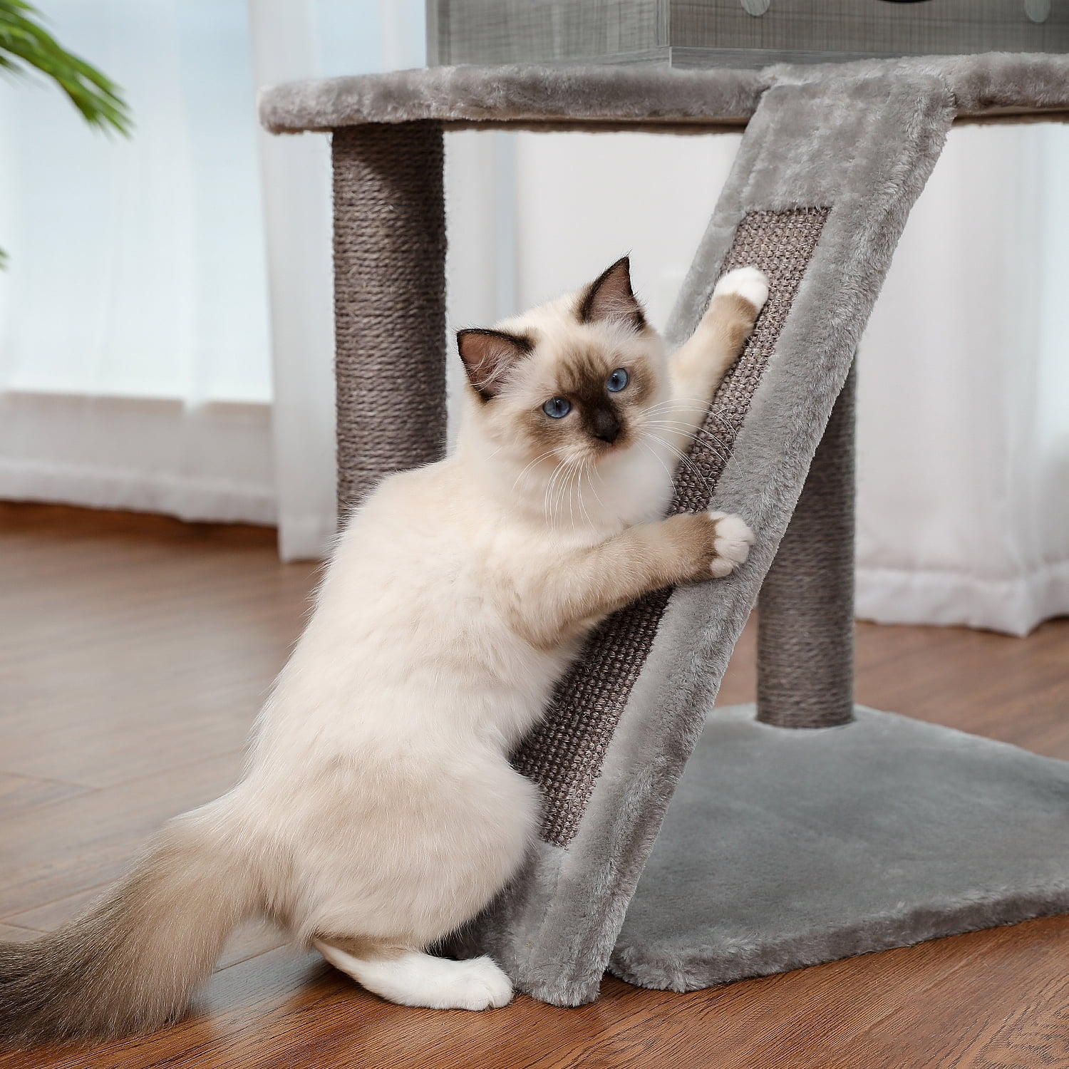 Pefilos 57" 4 Levels Platform Cat Tree, Wood Cat Condo for Large Cats with Fully Scratching Posts, Hammock, Padded Perch Cat Tower for Indoor, Gray Pefilos 57" 4 Levels Platform Cat Tree, Wood Cat Condo for Large Cats with Fully Scratching Posts, Hammock, Padded Perch Cat Tower for Indoor, Gray