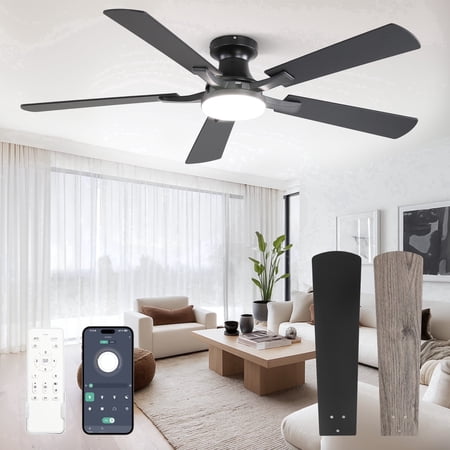 Zardon 52 inch Ceiling Fan with Light, Flush Mount Low Profile, App & Remote Control, 6-Speed Quiet DC Motor for Bedroom, Living Room, Black