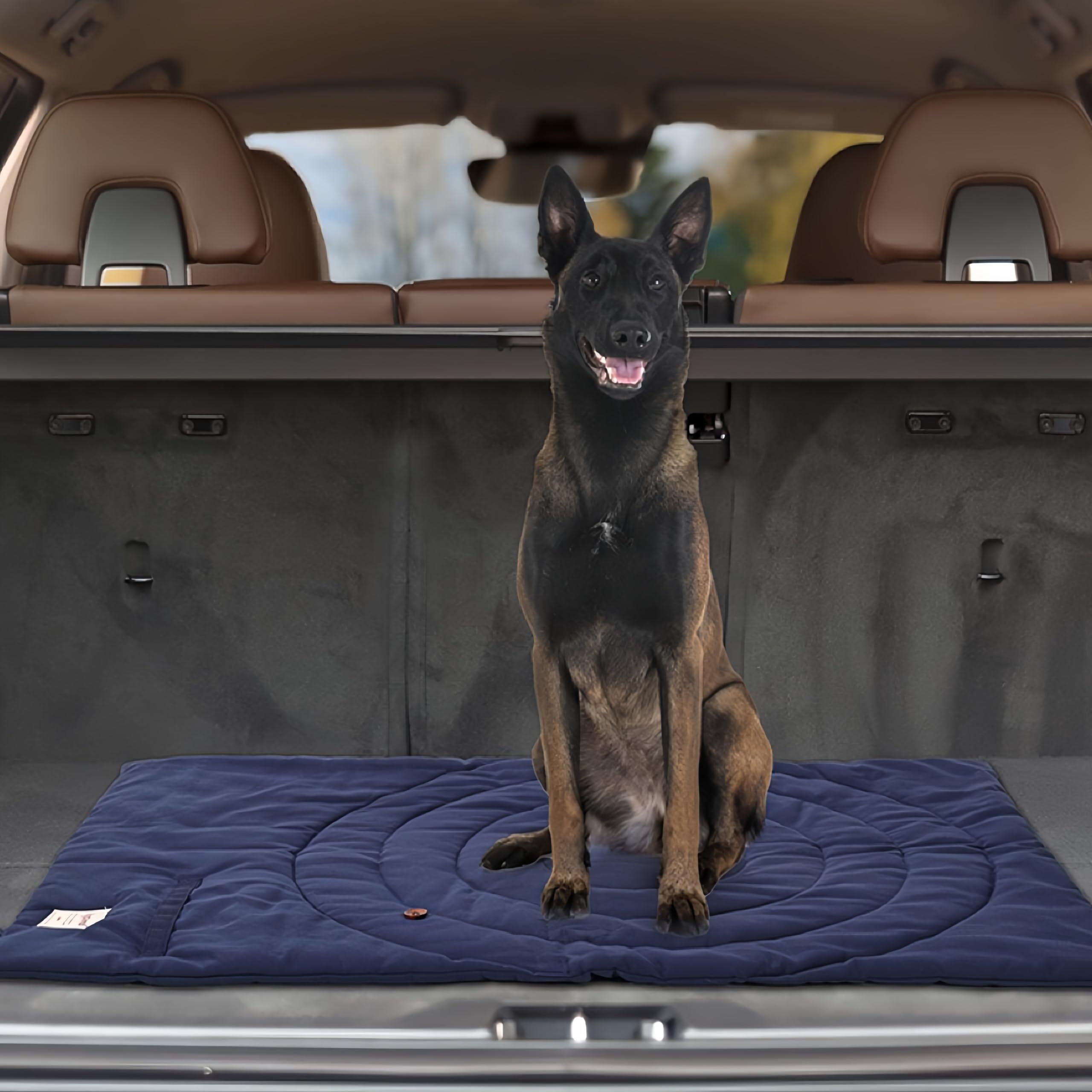 Dog Travel Mat, Travel Outdoor Dog Mat, Waterproof Outdoor Dog Bed, 37.4" x 25.6" Dog Bed Mat, Foldable Dog Bed, Camping Outdoor Dog Bed, Outdoor Foldable & Waterproof Trail Pup Travel Pillow Mat